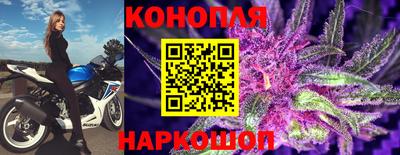 мдпв Гусь-Хрустальный