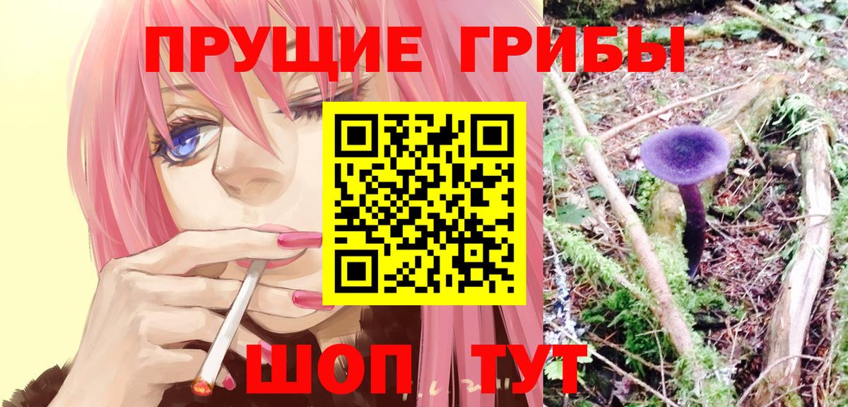 Галлюциногенные грибы Psilocybine cubensis  Вход с VPN  Мытищи 