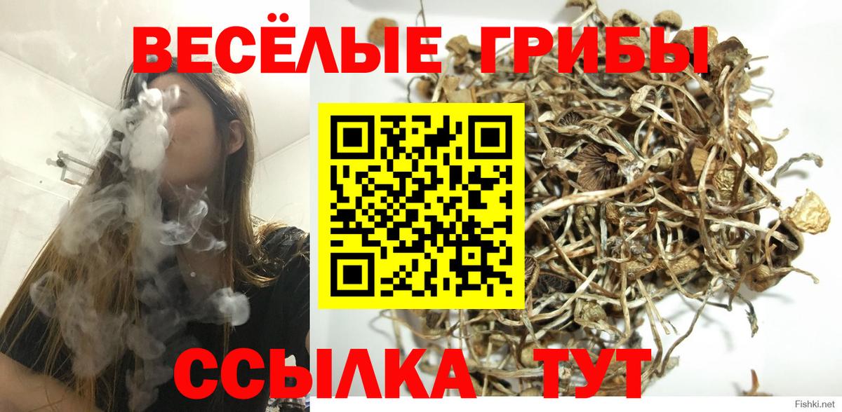 Галлюциногенные грибы MAGIC MUSHROOMS Мытищи